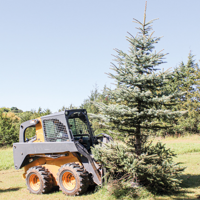 Skid Steer Tree Puller Attachment, Ideal for Skid Steers or Skid Loaders with Standard Universal Quick Attachment | GreyWolf™ Attachments